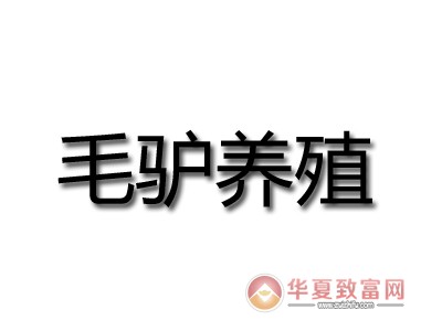 毛驴养殖加盟